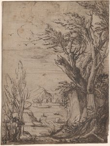 Landschaft mit knorrigen Bäumen und Fischer von Circle of Jacques de Gheyn