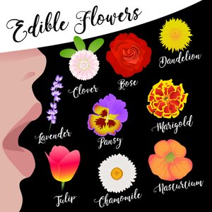 Essbare Blumen von Claire Huntley
