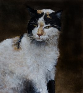 Wachsame Calico-Katze von Claire Lerner