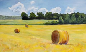 Goldenes Heufeld von Claire Whitehead