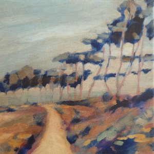 Gewundener Landpfad von Claire Whitehead
