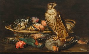 Stillleben mit Wanderfalke und Vögeln