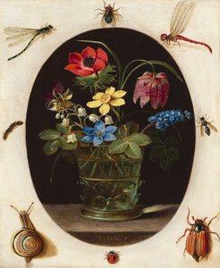 Stillleben mit Blumen, umgeben von Insekten und einer Schnecke