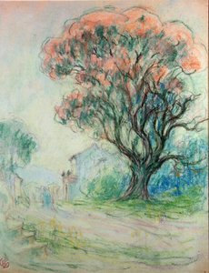 Rosa Baum