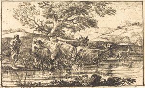 Die Herde am Wasserplatz