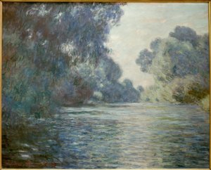 Arm der Seine bei Giverny