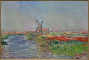 Tulpenfelder in Holland