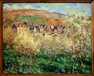 Blühende Zwetschgenbäume in Vetheuil