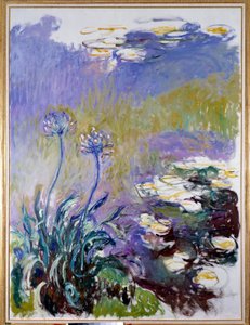 Die Agapanthus von Claude Monet