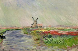 Tulpenfeld in Holland