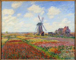 Tulpenfelder in Holland (mit einer Windmühle)