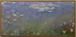 Seerosen (Agapanthus), ca. 1915-26