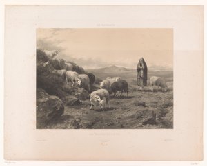 Hirtin mit Schafen auf der Ebene von Cantal