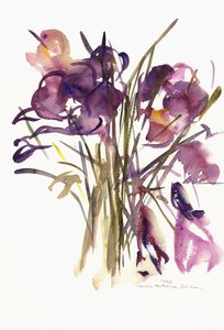 Krokus, 2003