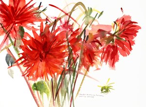 Dahlien, 2002 von Claudia Hutchins Puechavy