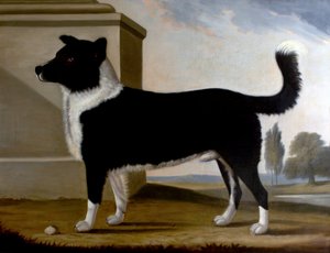 Lord Byrons Hund Boatswain (Der Neufundländer)