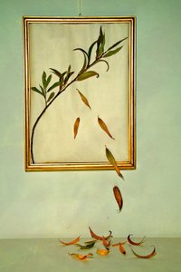 Fallende Herbstblätter von Codruta Georgescu