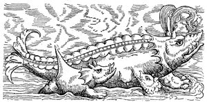 Stillende Wale und Meerschweinchen von Conrad (after) Gesner