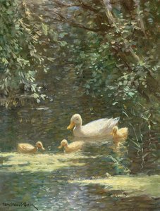 Entenmutter mit Entenküken im Wasser