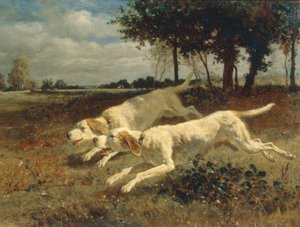 Laufende Hunde