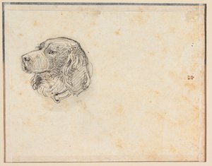 Ein Hundekopf von Constantin Hansen