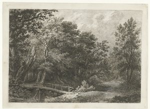 Waldansicht mit Holzbrücke