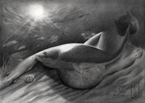 Hai und Sirene von Corné Akkers