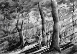 Sonnendurchflutete Waldfiguren