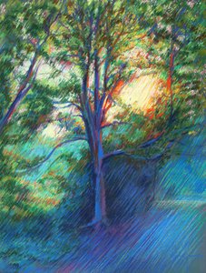 Sonniger Waldweg von Corné Akkers