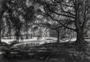 Sonniger Parkweg