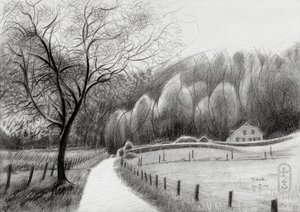 Verschlungener Landweg
