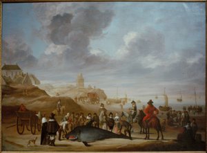 Wal am Strand von Scheveningen