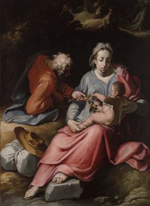 Die Heilige Familie von Cornelis Cornelisz. van Haarlem