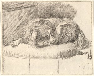 Schlafender Hund, 1777