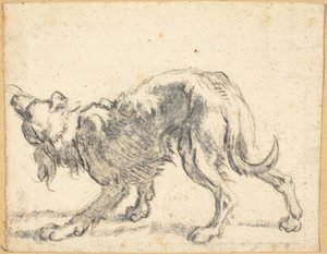Ein Hund