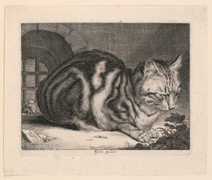 Die große Katze