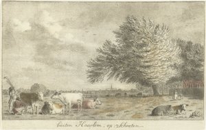Kühe auf einer Weide von Cornelis van Noorde