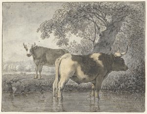 Zwei Kühe unter einem Baum am Wasser