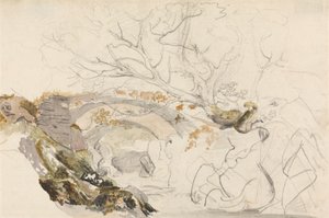 Brücke und Bäume von Cornelius Varley
