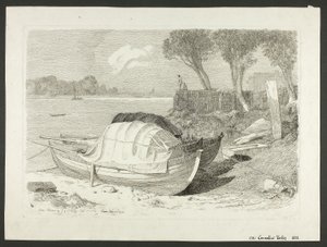 Angespülte Boote