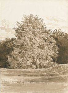 Wrottesley Hall - Der Strauchgarten von Cornelius Varley