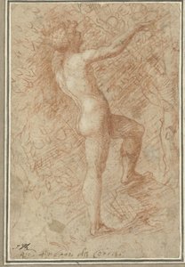 Adam pflückt den Apfel vom Baum von Correggio