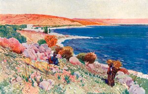 Ort von Bethsaida von Corwin Knapp Linson