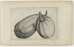 Zwei Melonen