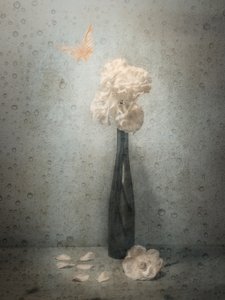 Es ist noch nicht Zeit