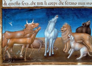 Das Ende der Welt: Und die Sterne werden vom Himmel fallen und die Tiere werden Angst haben