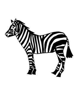 Zebra, 2024