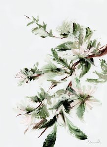 Blüte von Dan Hobday