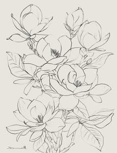 Magnolienbaum von Dan Hobday