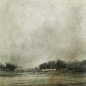 Durch die Bäume von Dan Hobday